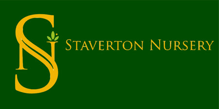 Staverton Nursery