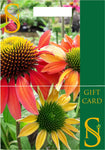 Staverton Gift Card £25